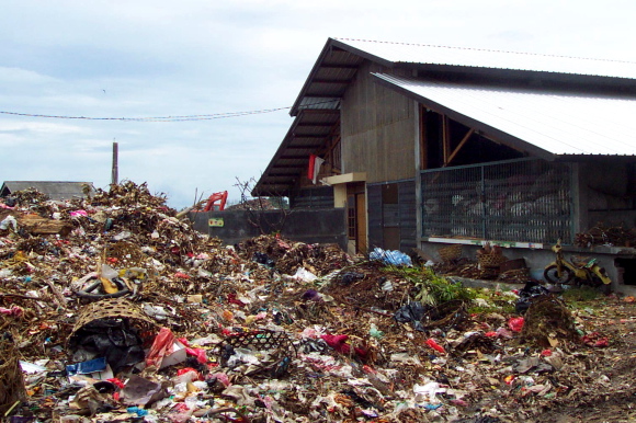 toumbourou1.jpg toumbourou1.jpg